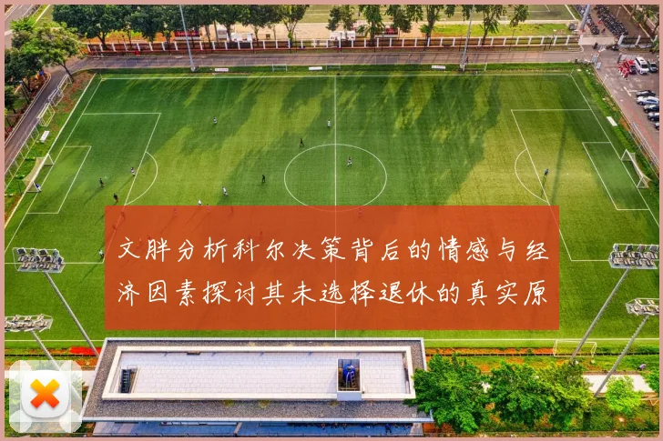 文胖分析科尔决策背后的情感与经济因素探讨其未选择退休的真实原因