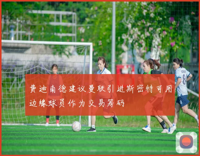费迪南德建议曼联引进斯密特可用边缘球员作为交易筹码